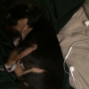 Meet your Posher, Dymond